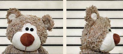 Teddy bear guilty of corruption – Portugal 2022