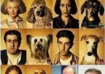 Owners and pets look alike – Slovenia 2020