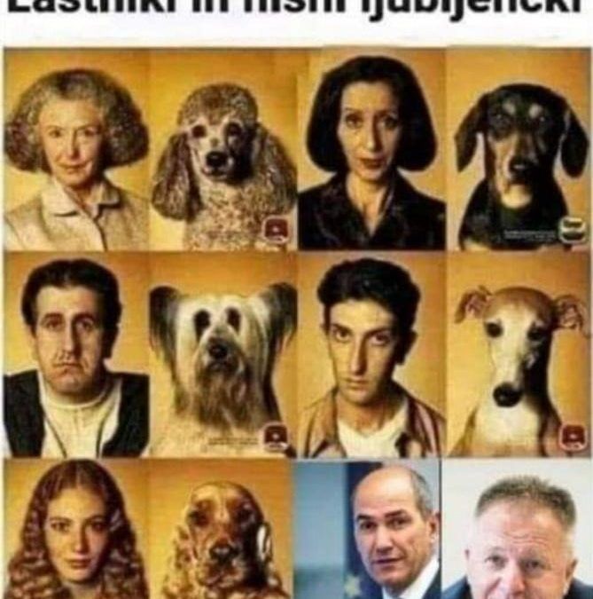 Owners and pets look alike – Slovenia 2020